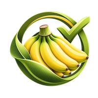 Conventional programs icon
